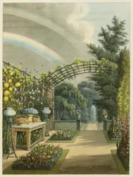 Sunshine after Rain, from 